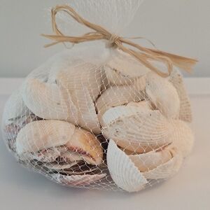 Decorative Seashell Bag Of Shells